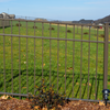 Beagle Residential Fence